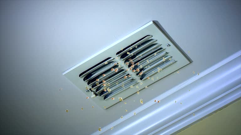 Best Commercial Air Duct Cleaning  in Cheyenne, WY