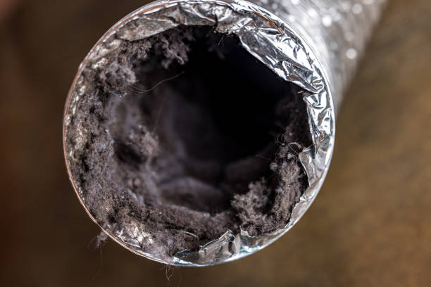 Best Duct Cleaning for Homes  in Cheyenne, WY